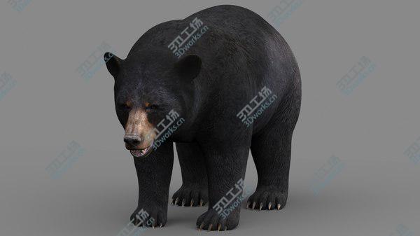 images/goods_img/20210312/Black Bear model/1.jpg